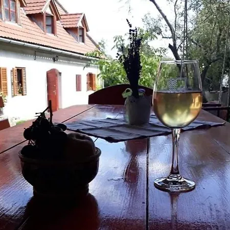 Andante Vendeghaz Vaszoly