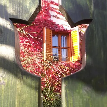 Andante Vendeghaz Vászoly