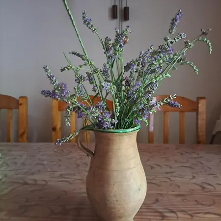 Hébergement de vacances Andante *