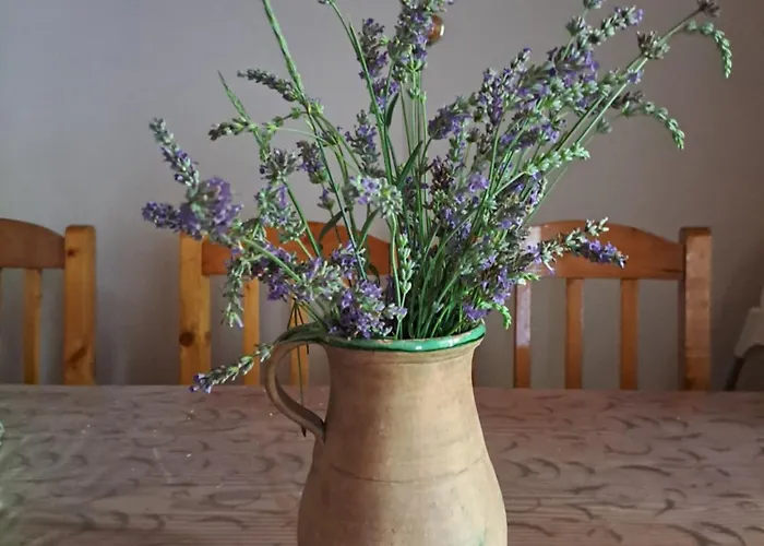 別荘 Andante Vendeghaz *